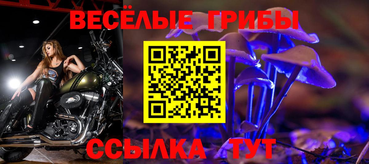 что такое наркотик  Вход с VPN  Димитровград  Псилоцибиновые грибы Cubensis  Псилоцибиновые грибы Psilocybe 